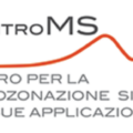 WORKSHOP di Microzonazione Sismica: Dalla ricerca scientifica a nuovi standard, pratiche e linee guida